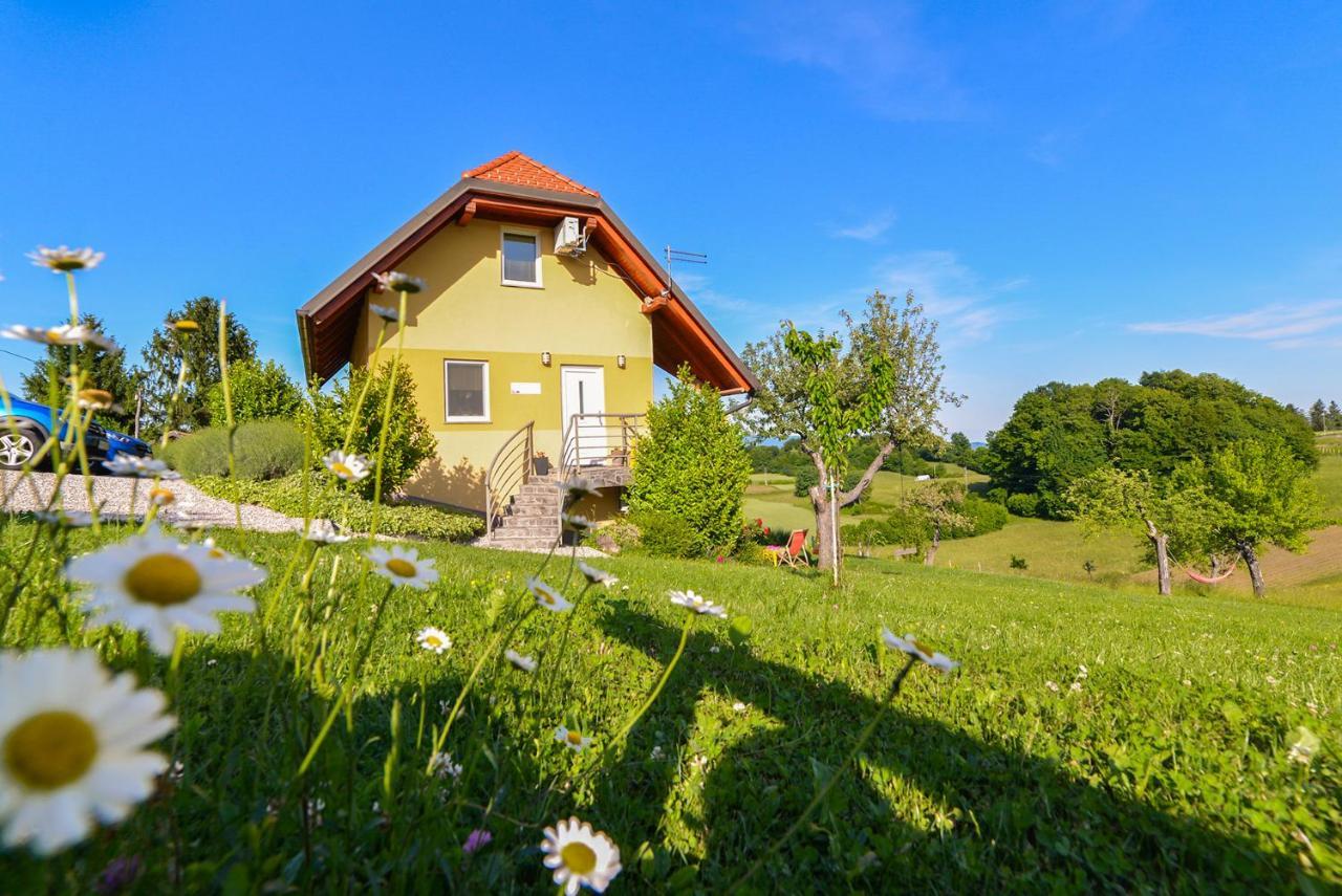 Apartments Vinska Trta Catez ob Savi Exterior photo